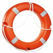 CAN SİMİDİ 66 CM 2.5 KG SOLASLI