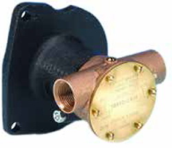 "ITT JABSCO FLANŞLI POMPA 3/4"""